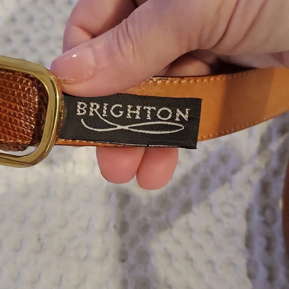 Brighton Lizard and Cowhide Brown Belt Size 40
